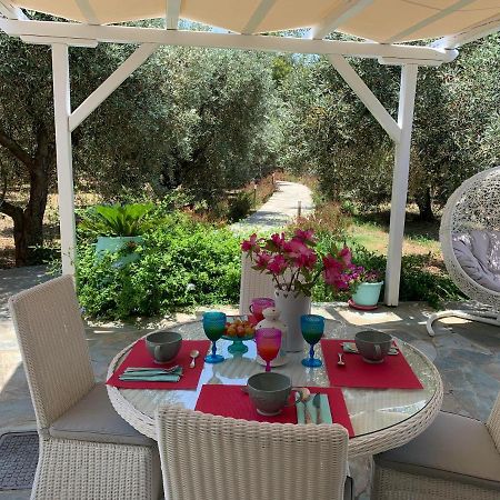 Chiqui Luxury Apartments Αλόννησος Εξωτερικό φωτογραφία