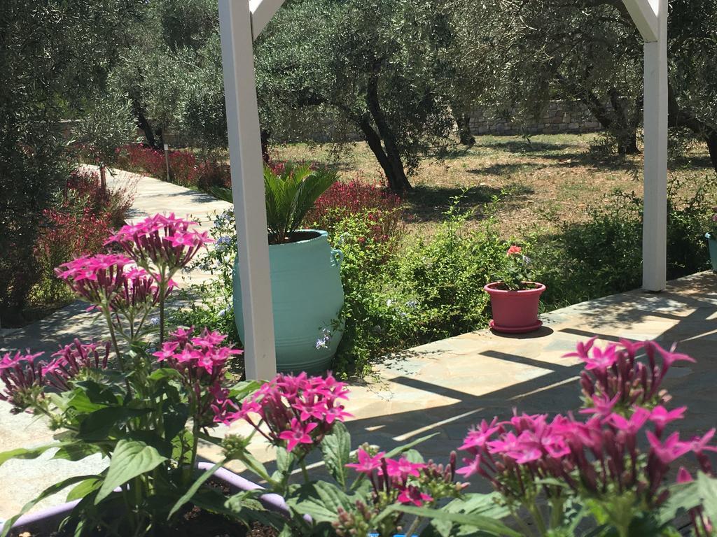 Chiqui Luxury Apartments Αλόννησος Εξωτερικό φωτογραφία